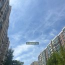 압구정-115 이미지