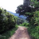 송광목장 이미지