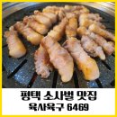 육사육구 이미지