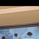 아이온가족치과 이미지