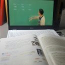 통상수교 거부 정책의 원인 이미지