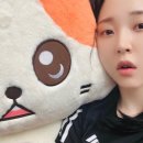 별똥이