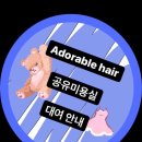 어도러블헤어샵 이미지