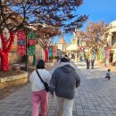 하티미미 이미지