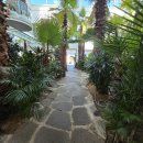 주식회사 팜브릿지케어 | 압도적 규모의 힐링 성지, 고모리 카페 팜브릿지에서 즐긴 황제 해물누룽지탕과 식물원 산책