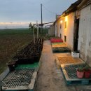 재진농장 이미지