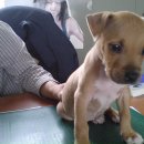 부광주유소 이미지