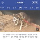 천지동물병원 이미지