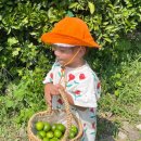 연월농장 이미지