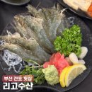 리고 - 강화군 해안남로 2365 | 부산 전포 횟집 리고수산, 제철 생새우 맛집 솔직후기