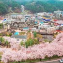 사계절 이미지
