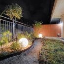 엠테라스 이미지