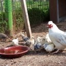 빗돌배기마을 이미지