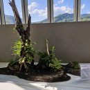 고메똥골 이미지