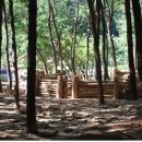 파랑새유치원.어린이집 이미지