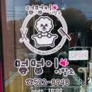 멍멍이 이발소 이미지