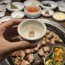 팔삼해치