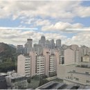 서초 중앙 행정사 사무소 | 중요한 민원해결, 법인행정의 함정을 미리 피하려면? 등대행정사사무소의 노하우 공개!