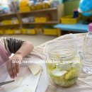 비아초교병설유치원 이미지