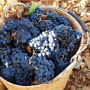 세븐일레븐 강화본점 이미지