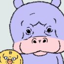 피트밀리짐 시지알파시티점 | [공지] 시지PT 피트밀리 시지 알파시티점 최재민 선생님PT 4주 후기 (어깨 회전근개 재활)