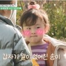 하송송