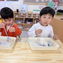🦜 삘릴리~🎶 서해반에 찾아온 물새피리 🦜 이미지