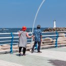 정자항 공원 이미지