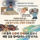뉴스킨 - 98535 | 뉴스킨 웰스파 후기 임산부 부종, 남편 순환관리 느낌이 아닌 진짜 효과!