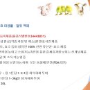 (주)아미텍 Daum카페