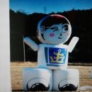 새만금 청보리농장 이미지