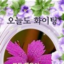 바세린의 놀라운 활용법 30가지 이미지