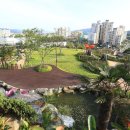 세계모란공원 이미지