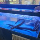 삼성프라자(계양대로) 이미지