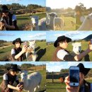 엠버농장 이미지