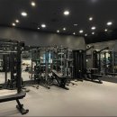 피티인거여 이미지