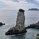 (1,056. 김재은의 행복한 월요편지)제주여행,다시 본래의 삶의 이치를 온전히 받아들입니다. 이미지