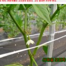 방아농장 이미지