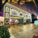 릴리펏롯데백화점부산본점 | 부산 서면 서면역 맛집 까치복 금수복국 롯데백화점 부산본점 후기