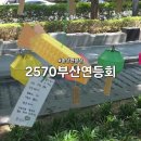 송상현 광장 동상 맞은편 | 2026년 송상현광장 2570부산연등회 등달기 체험 및 관람 정보 및 점등시간