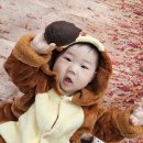베베뮤즈 | [문센후기] 베베뮤즈 가을느낌 물씬나는 단풍놀이