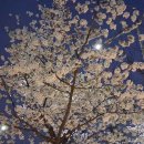 장자대로 이미지