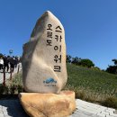 주식회사 오엔 | 부산버스투어 부산요트투어 여행특공대 유앤미 오륙도 남구투어
