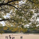 영주수도리김규진가옥 | 국내 여행 당일치기 영주 버스투어 무섬마을 소수서원 부석사 by 아너드투어