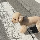 토속정푸드 | 2023.7月 어느날+여름휴가