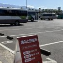 에이스카서비스 | 제주렌트카 초보 추천 에이스렌트카 후기