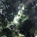 해송가든 이미지