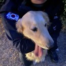 월영동213 이미지