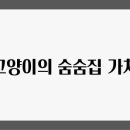 독특 이미지