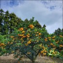 진정농장 이미지